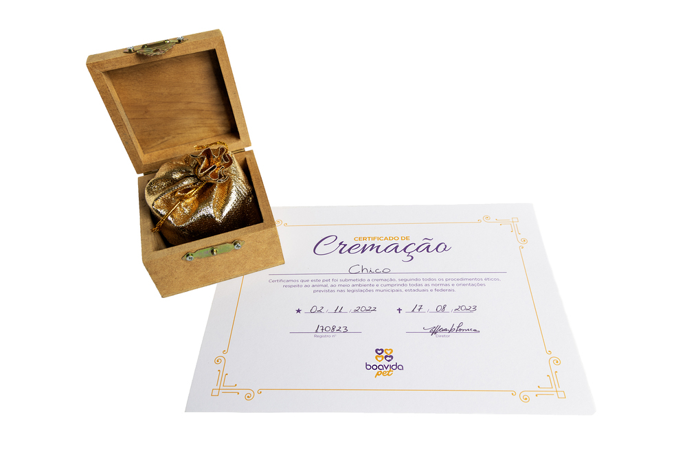 Cremação Individual